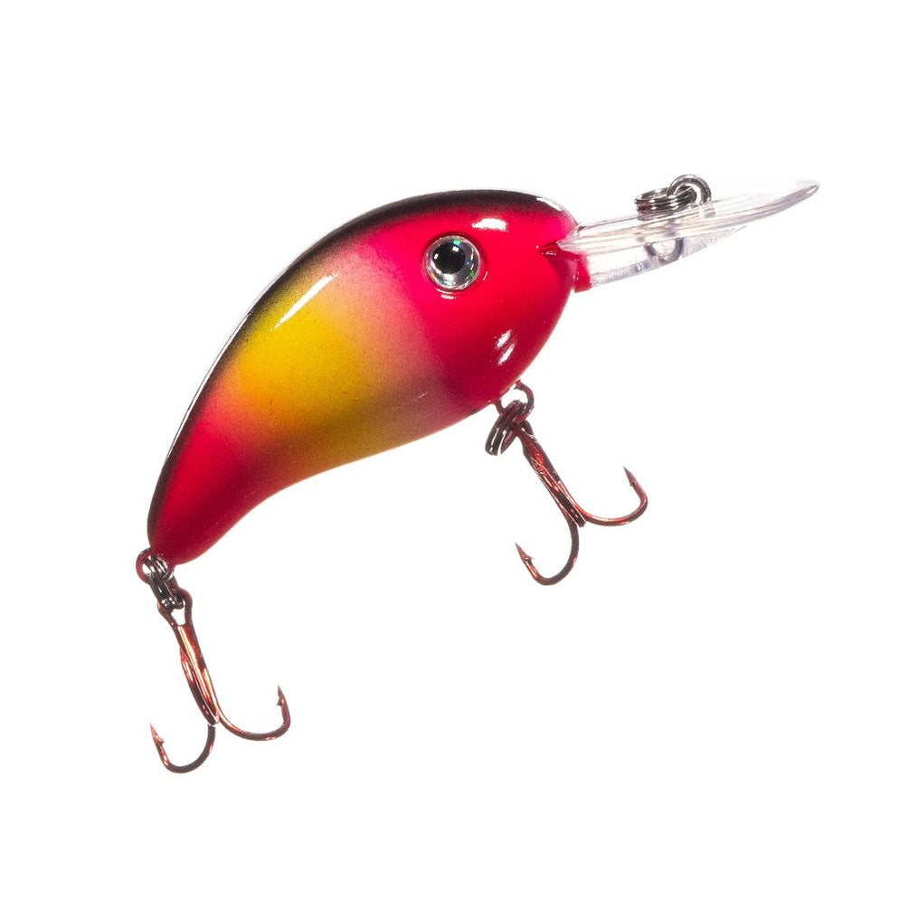 Gear Box Avid Bass Tackle CD-220 Fishing Lures 72 Pack Arkie Lures CD-220  Crankbait
